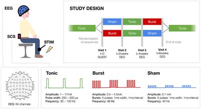 Modulation of the Somatosensory Evoked Potential by Attention and Spinal Cord Stimulation